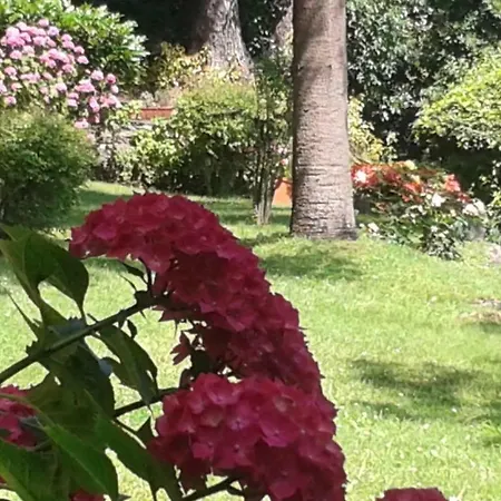 Balcone Sul Tigullio